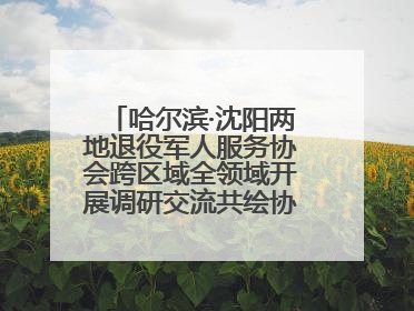 哈尔滨·沈阳两地退役军人服务协会跨区域全领域开展调研交流共绘协同发展