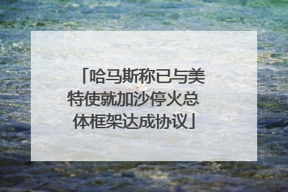 哈马斯称已与美特使就加沙停火总体框架达成协议