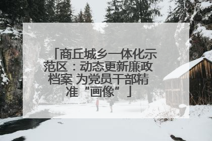 商丘城乡一体化示范区：动态更新廉政档案 为党员干部精准“画像”