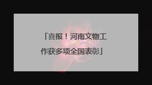 喜报！河南文物工作获多项全国表彰