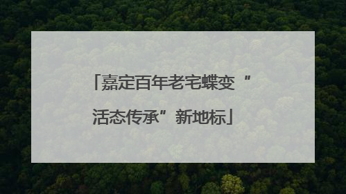嘉定百年老宅蝶变“活态传承”新地标