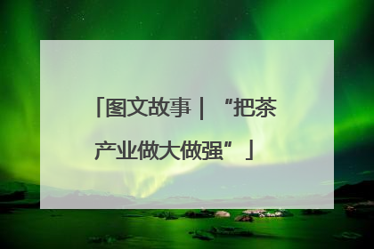 图文故事｜“把茶产业做大做强”