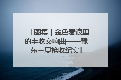 图集｜金色麦浪里的丰收交响曲——豫东三夏抢收纪实