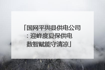 国网平舆县供电公司：迎峰度夏保供电  数智赋能守清凉