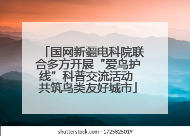国网新疆电科院联合多方开展“爱鸟护线”科普交流活动 共筑鸟类友好城市