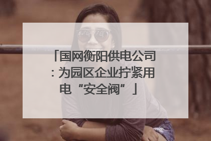 国网衡阳供电公司：为园区企业拧紧用电“安全阀”