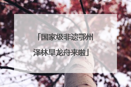 国家级非遗鄂州泽林旱龙舟来啦