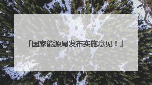 国家能源局发布实施意见！