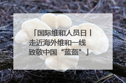 国际维和人员日丨走近海外维和一线 致敬中国“蓝盔”