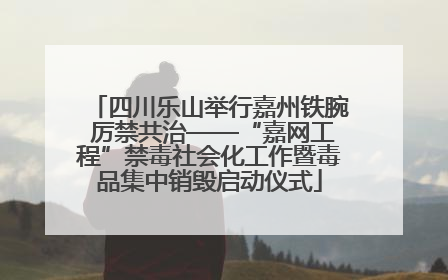四川乐山举行嘉州铁腕 厉禁共治——“嘉网工程”禁毒社会化工作暨毒品集中销毁启动仪式