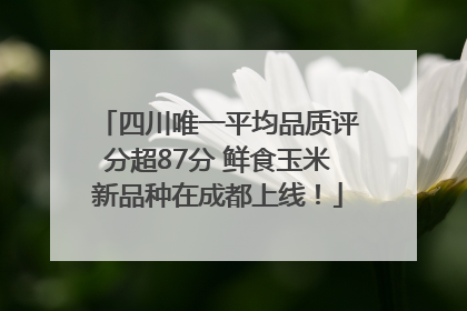 四川唯一平均品质评分超87分 鲜食玉米新品种在成都上线！