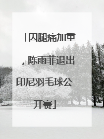 因腿痛加重，陈雨菲退出印尼羽毛球公开赛