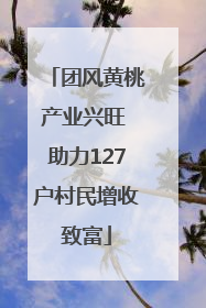 团风黄桃产业兴旺 助力127户村民增收致富
