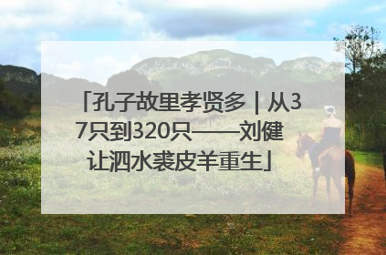 孔子故里孝贤多｜从37只到320只——刘健让泗水裘皮羊重生