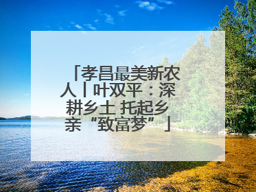 孝昌最美新农人丨叶双平：深耕乡土 托起乡亲“致富梦”