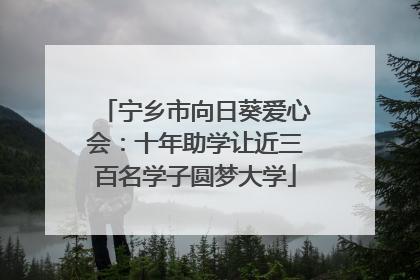 宁乡市向日葵爱心会：十年助学让近三百名学子圆梦大学
