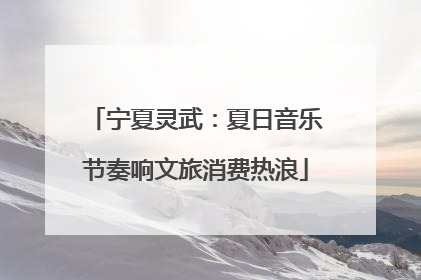宁夏灵武：夏日音乐节奏响文旅消费热浪