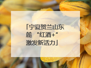 宁夏贺兰山东麓 “红酒+”激发新活力