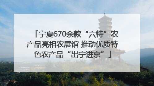 宁夏670余款“六特”农产品亮相农展馆 推动优质特色农产品“出宁进京”