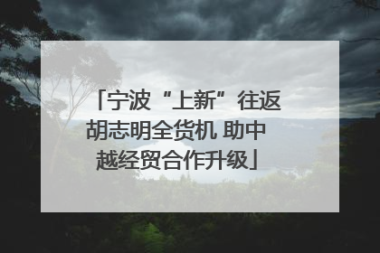 宁波“上新”往返胡志明全货机 助中越经贸合作升级