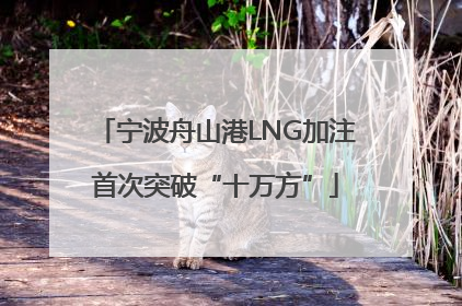 宁波舟山港LNG加注首次突破“十万方”