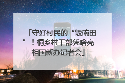 守好村民的“饭碗田”！桐乡村干部凭啥亮相国新办记者会