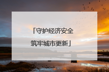 守护经济安全 筑牢城市更新