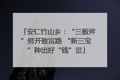 安仁竹山乡：“三板斧”劈开致富路 “新三宝”种出好“钱”景
