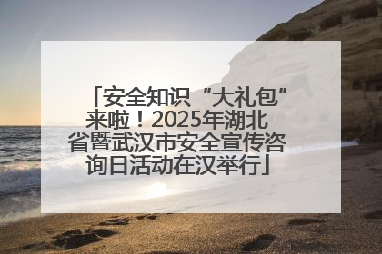 安全知识“大礼包”来啦！2025年湖北省暨武汉市安全宣传咨询日活动在汉举行