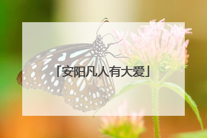 安阳凡人有大爱