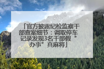 官方披露纪检监察干部查案细节：调取停车记录发现3名干部假“办事”真麻将
