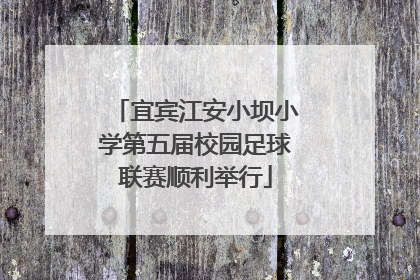宜宾江安小坝小学第五届校园足球联赛顺利举行
