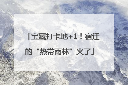 宝藏打卡地+1！宿迁的“热带雨林”火了