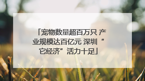 宠物数量超百万只 产业规模达百亿元 深圳“它经济”活力十足