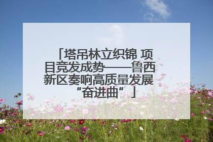 塔吊林立织锦 项目竞发成势——鲁西新区奏响高质量发展“奋进曲”