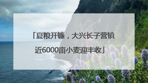 夏粮开镰，大兴长子营镇近6000亩小麦迎丰收