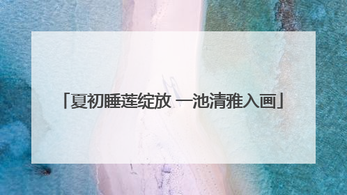 夏初睡莲绽放 一池清雅入画