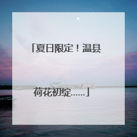夏日限定！温县荷花初绽……