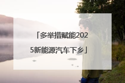 多举措赋能2025新能源汽车下乡