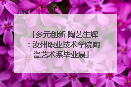 多元创新 陶艺生辉：汝州职业技术学院陶瓷艺术系毕业展