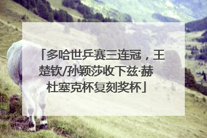 多哈世乒赛三连冠，王楚钦/孙颖莎收下兹·赫杜塞克杯复刻奖杯