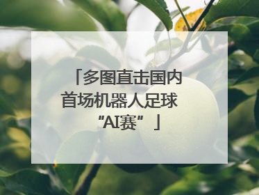 多图直击国内首场机器人足球“AI赛”
