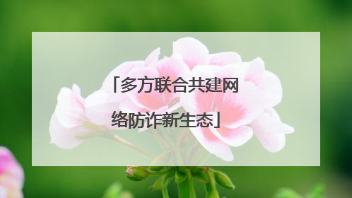 多方联合共建网络防诈新生态