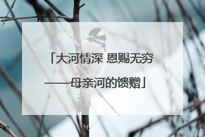 大河情深 恩赐无穷——母亲河的馈赠