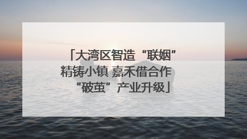 大湾区智造“联姻”精铸小镇 嘉禾借合作“破茧”产业升级