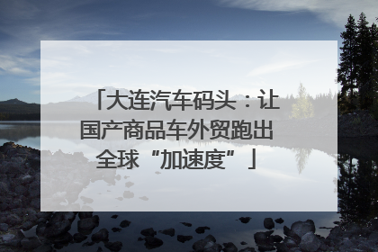 大连汽车码头：让国产商品车外贸跑出全球“加速度”
