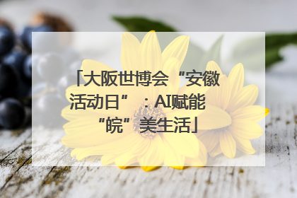 大阪世博会“安徽活动日”：AI赋能“皖”美生活