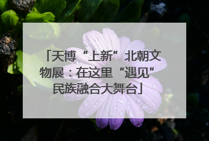 天博“上新”北朝文物展：在这里“遇见”民族融合大舞台