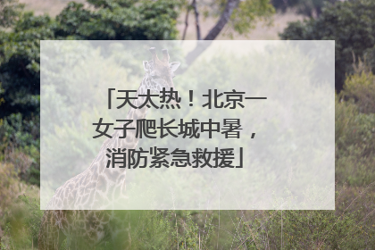 天太热！北京一女子爬长城中暑，消防紧急救援