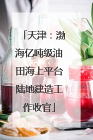 天津：渤海亿吨级油田海上平台陆地建造工作收官